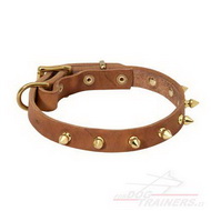 Leder Hundehalsband mit Bronzefarben Spikes