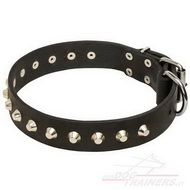 Collare con borchie decorative a piramide per cane Collare con borchie a piramide per cne