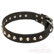 Collier pour chien
Excellente Qualit