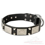 Hunde Halsband Leder mit Pyramiden, Lederhalsband mit Schildern