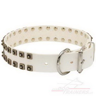 White Leather Decorated Collar