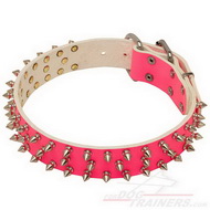 Roze Lederen Spikes Halsband