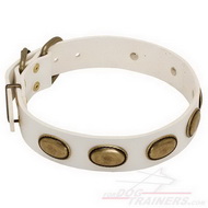 White
Leather Dog Collar with Plates