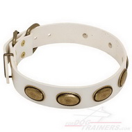 plated Dog Collar White
Leather White
Leather Dog Collar with Plates
