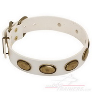 Collier en
cuir blanc pour chien