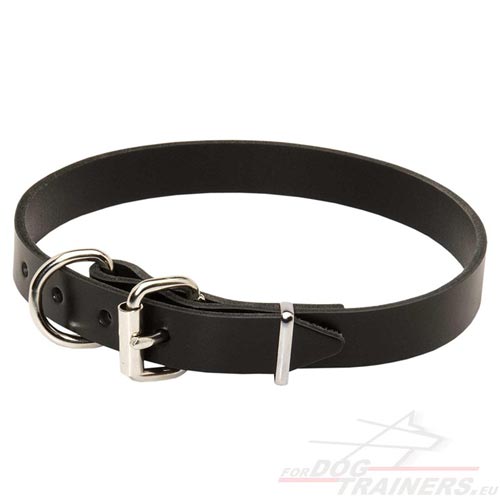 Collier
confortable et durable pour chien