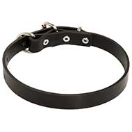 Dog Collar of Black Leather Narrow