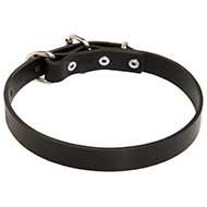 Leather Pet Collar
Black Leather