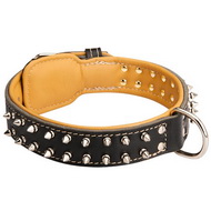 Vernikkelde Spikes Halsband