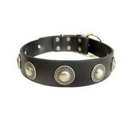 Dog Leather Collar with Embossed Plates