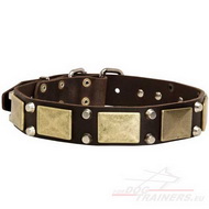 Collare in pelle Designer Dog Collar Wide, Leather Collar Exclusive