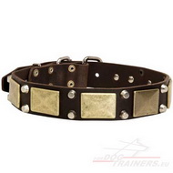 Hunde Halsband Leder mit Pyramiden, Lederhalsband mit Schildern 