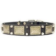 Leather Dog Collar
with Plates