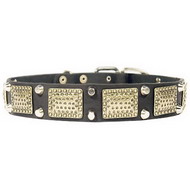 Plated Dog Collar