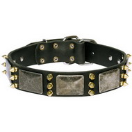 Strijd Honden Lederen Halsband