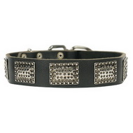 Decorated Dog Collar
Leather