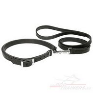 Collar and Leash Leather