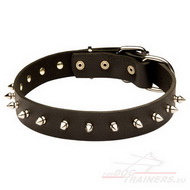 Designer Dog Collar Beautiful, Spiked Collar for Dogs