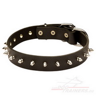 Collier clout en
cuir pour chien