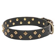 Collier  petits
rivets en laiton pour chien