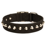 Studded Nylon Dog
Collar