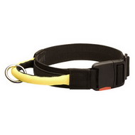 Dog Collar with Handle
Nylon