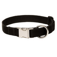 Halsband Nylon | Perfekt fuer Hunde-Training und Sport