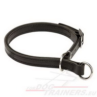 Training Choke Dog Collar  for a Big and Strong Dog 