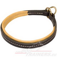 Collier en cuir de 2
types pour chien