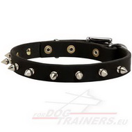 Leder Halsband fuer Hunde mit Spikes