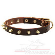 Leather Dog Collar with Bronze Spikes