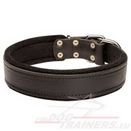 Collier en cuir doubl
de feutre pour chien