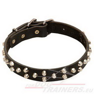 Beautiful Dog Collar for Dog
Walking Decorated
Leather Dog Collar