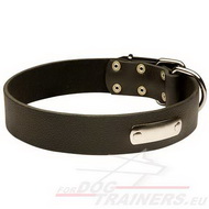 Collar de Cuero de Stilo Clsico para Perro