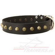 Leather Dog Collar with Pyramids for Strong Dogs