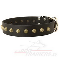 Cuero collar de perro con las pirmides