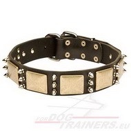 Chien collier cuir
avec plauqes et piques