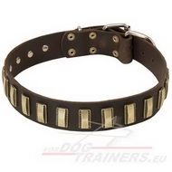 Luxurious Dog Collar Collar with Goldish
Decorations