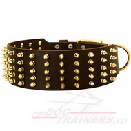 Collier de
luxe dcor pour chien