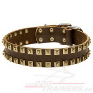 Lederhalsband mit quadratischen Nieten fuer grosse und kraeftige Hunde