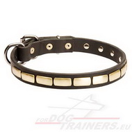 Narrow Collar Exclusive with Decorative Plates for Dogs
