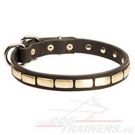 Narrow Dog Collar
with Bronze Plates