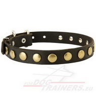 Leren halsband met gestippelde style cirkels!