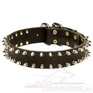 Collar de perro de cuero con clavos de accesorios