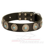 Collier en cuir pour chien lgance Infinie