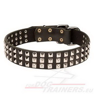 Collar de Cuero Lujoso para Perros