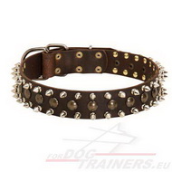 Leather Dog Collar with Spikes and Studs