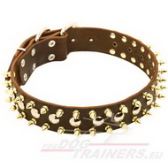 Lederhalsband mit Spikes und Nieten