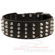 Leather Collar with Exclusive Design for Training and Walking