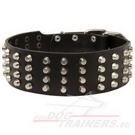 Lederhalsband mit exklusivem Design fuer grosse und kraeftige